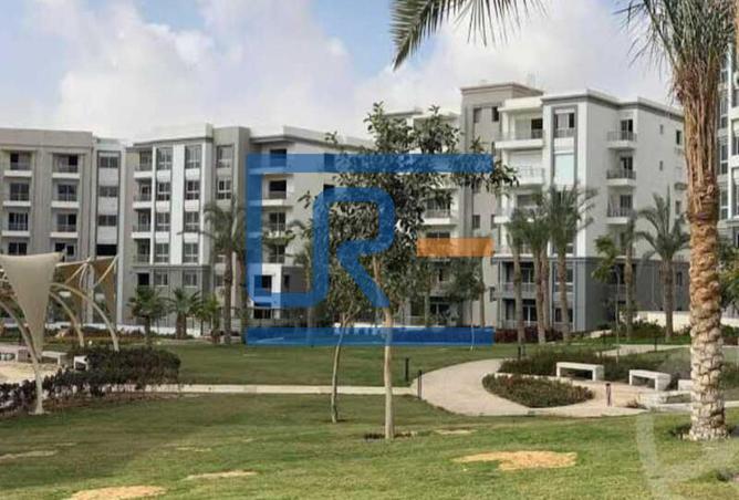 8220831 - Property Image 3