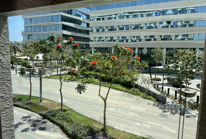 8234356 - صورة العقار 2