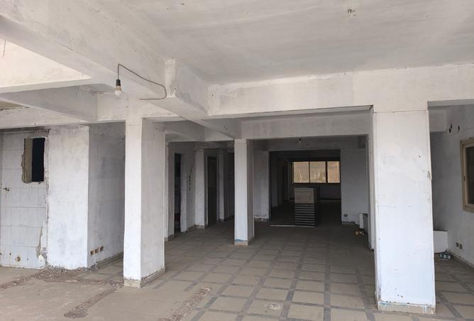 8092367 - Property Image 3