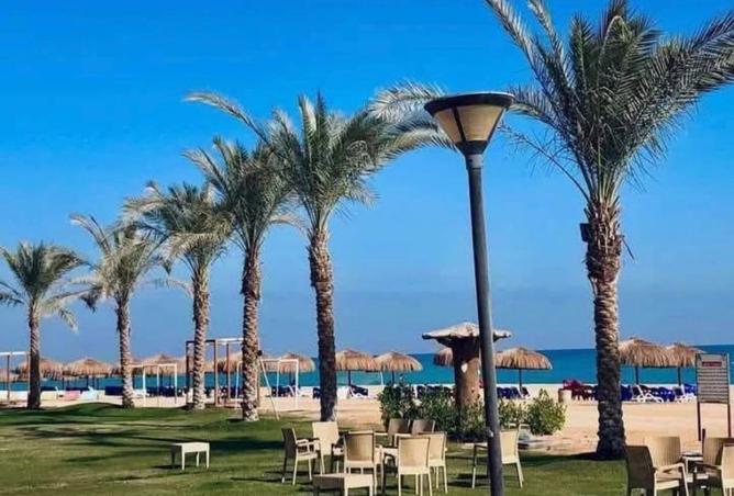 8483401 - صورة العقار 2