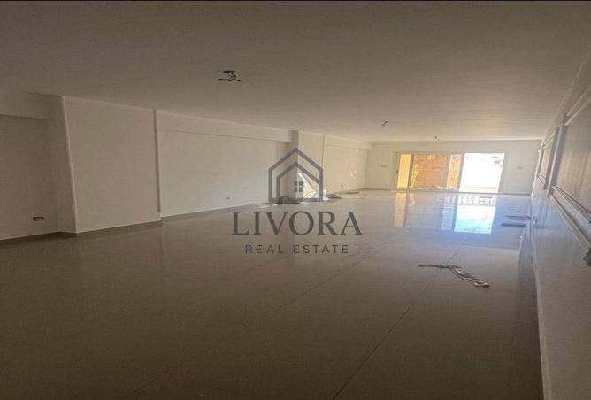 8036009 - Property Image 2