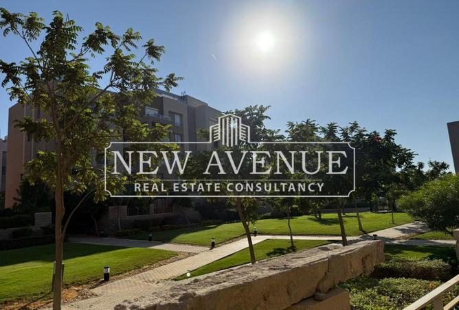 8106112 - Property Image 2