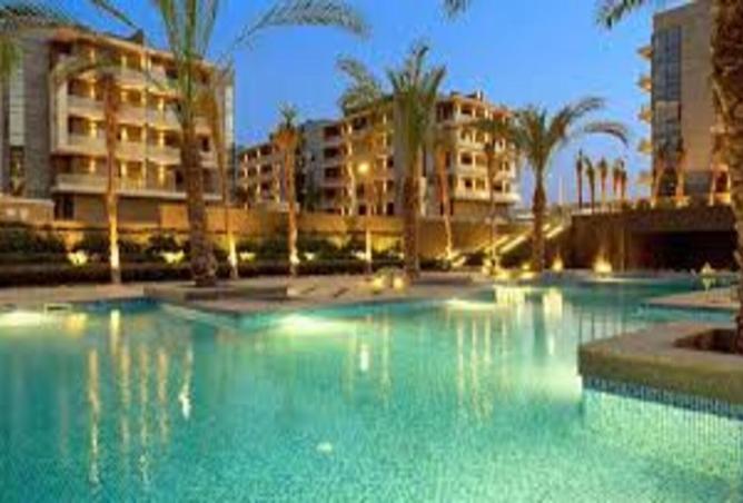 8358411 - Property Image 2