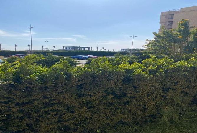 8096071 - Property Image 2