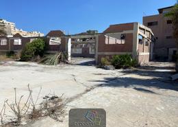 Warehouse for للايجار in Al Amir Ahmed Refaat St. - Moharam Bek - Hay Wasat - Alexandria