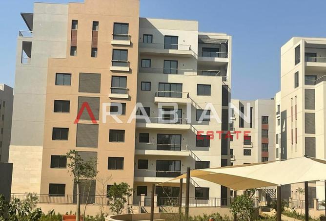 8451686 - Property Image 3