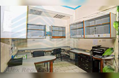 Office Space - Studio - 1 Bathroom for rent in El Gaish Road - Miami - Hay Awal El Montazah - Alexandria