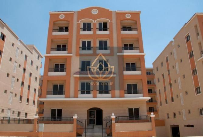 8430836 - Property Image 3