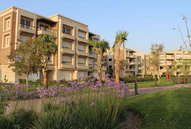 8096358 - Property Image 3
