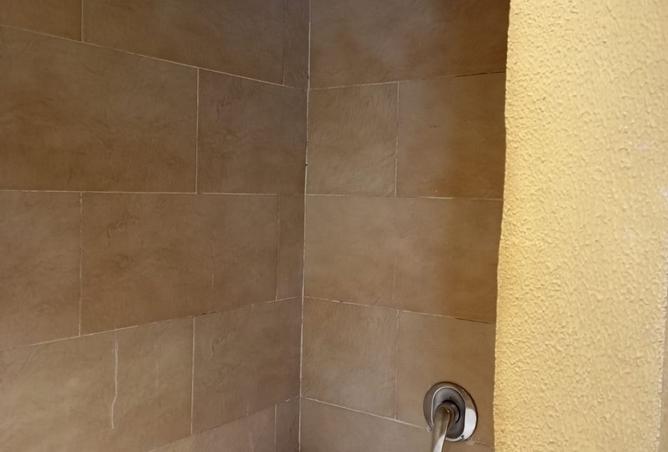 7893176 - Property Image 3