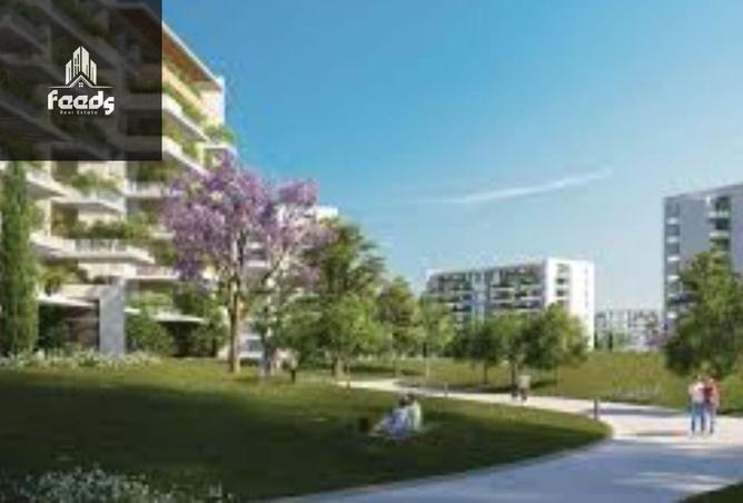 8118797 - Property Image 2
