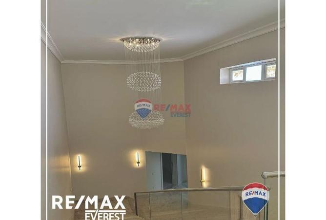 8144479 - Property Image 3