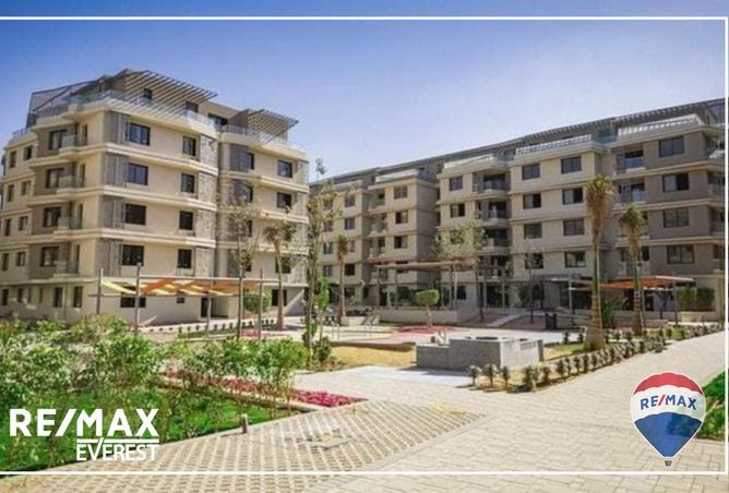8079638 - Property Image 3