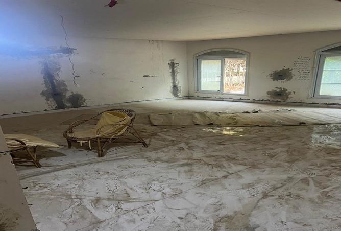 8096194 - Property Image 2