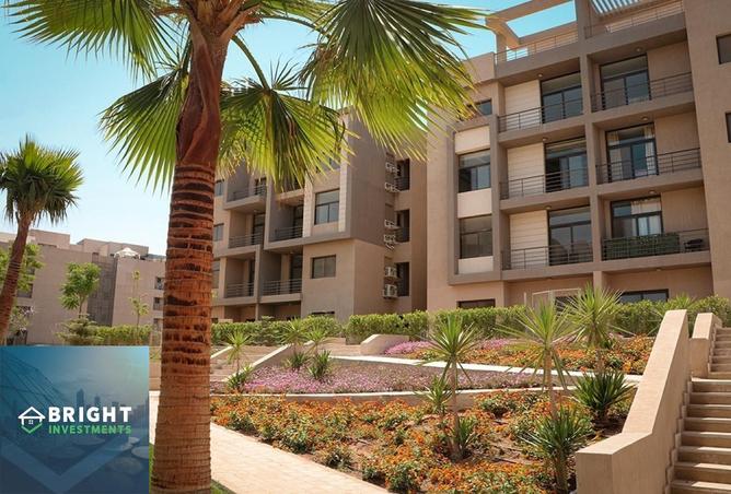 8238252 - صورة العقار 2