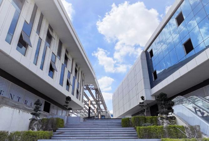 8397935 - صورة العقار 3