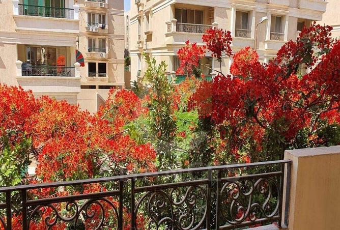 8252797 - Property Main Image