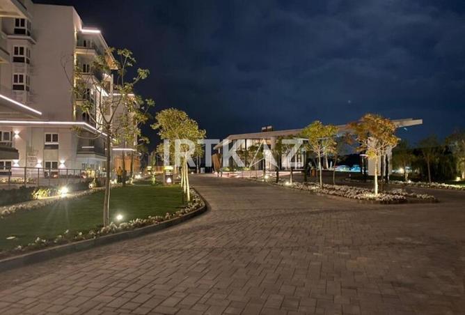 8506202 - Property Image 3