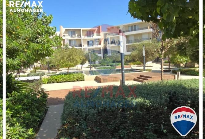 8469335 - Property Image 3