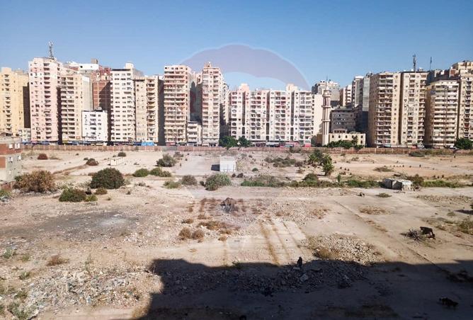 7930412 - صورة العقار 2