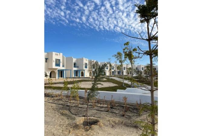 8293537 - صورة العقار 3