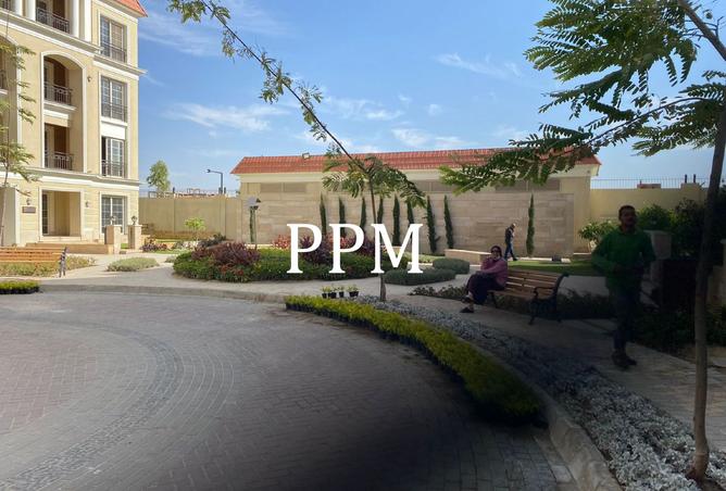 8303184 - Property Image 3