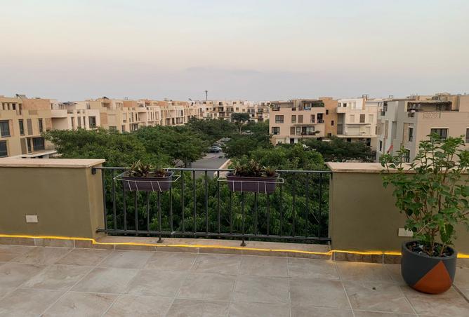 7985321 - Property Image 3