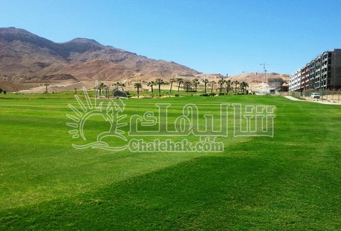 8167248 - Property Image 3