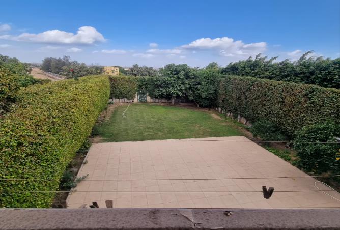 8445580 - صورة العقار 3