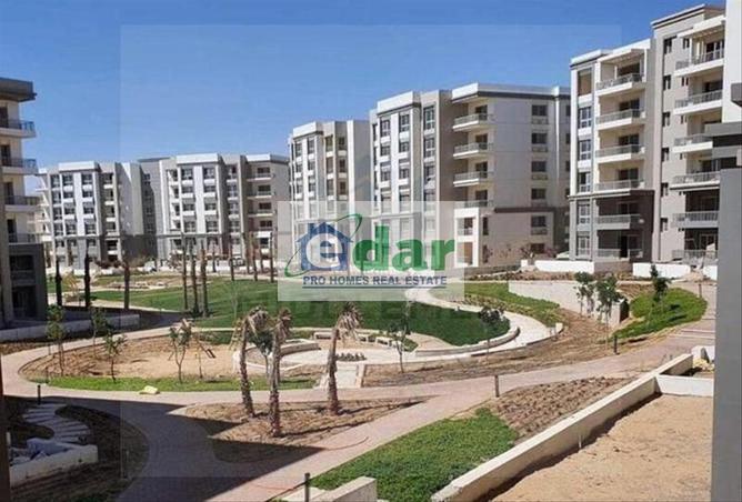 8441780 - Property Image 2