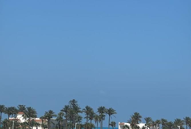 8454904 - صورة العقار 2