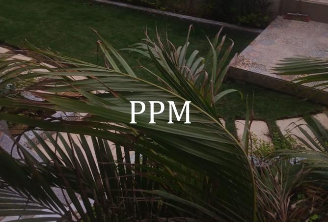 8460133 - Property Image 2