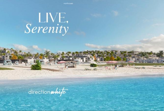 8383387 - Property Image 3