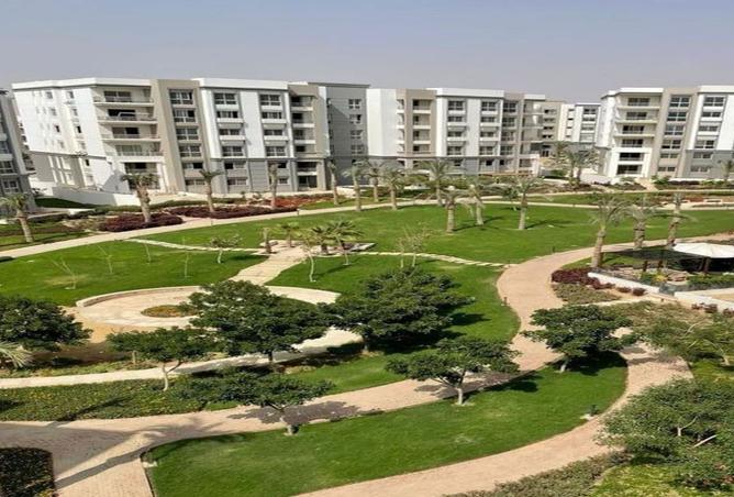 7955045 - صورة العقار 2