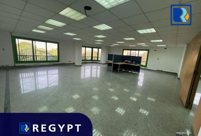 8135070 - الصورة الرئيسية للعقار