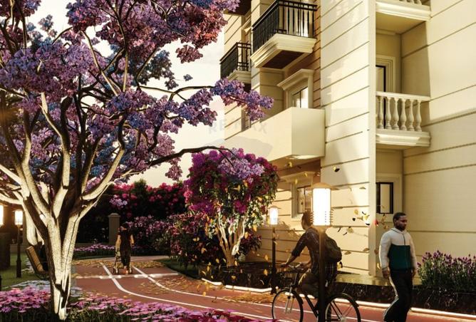 8405790 - Property Image 3