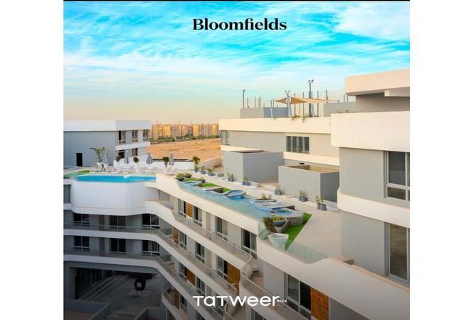 8449785 - Property Image 2