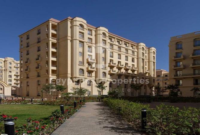 8534397 - Property Image 3