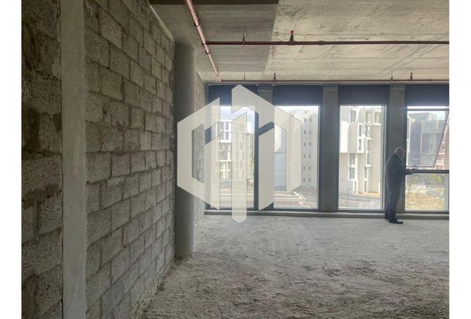 8169807 - Property Image 2