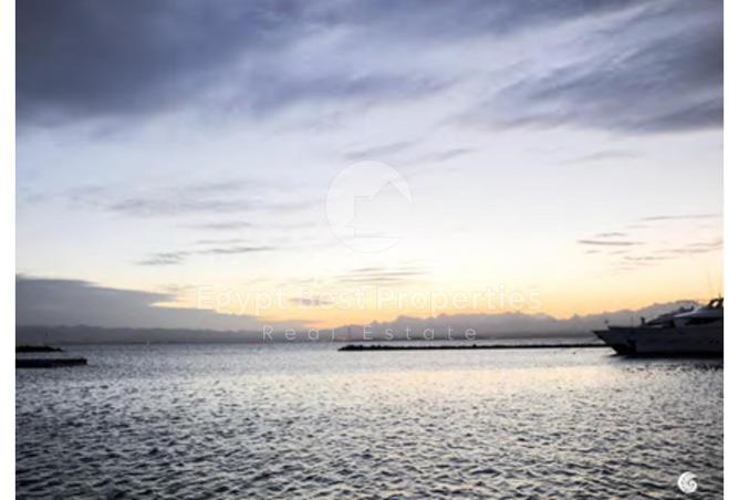 7977796 - Property Image 3