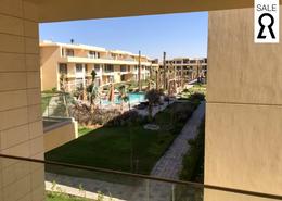 شقة - 1 غرفة نوم - 1 حمام for للبيع in جي كريبس - الجونة - الغردقة - محافظة البحر الاحمر شقة - 1 غرفة نوم - 1 حمام for للبيع in جي كريبس - الجونة - الغردقة - محافظة البحر الاحمر