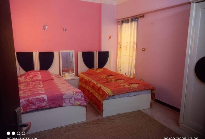 8190379 - Property Image 3