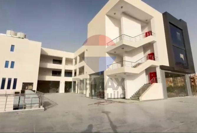 8213367 - Property Image 3