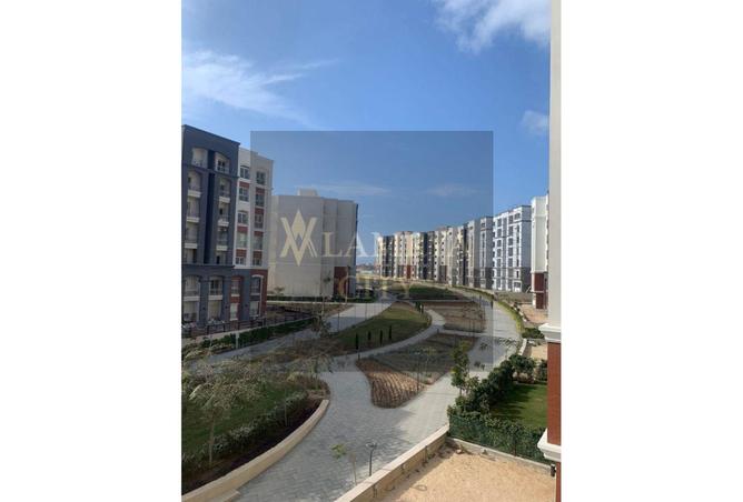 8132659 - Property Image 2