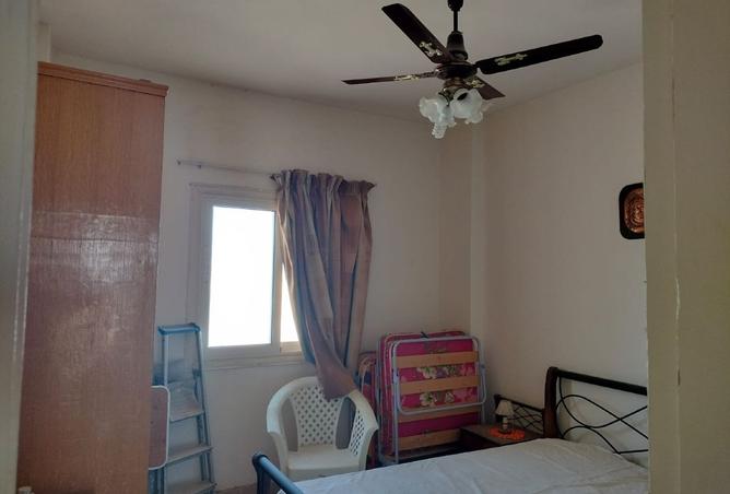 8140826 - Property Image 3
