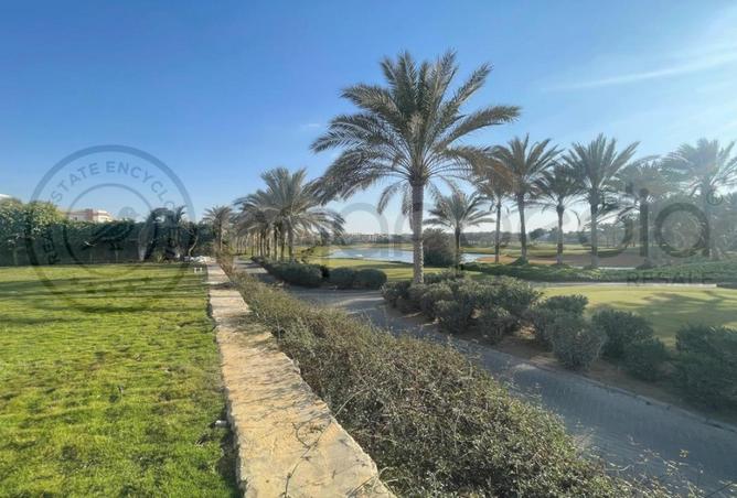 8447526 - Property Image 3