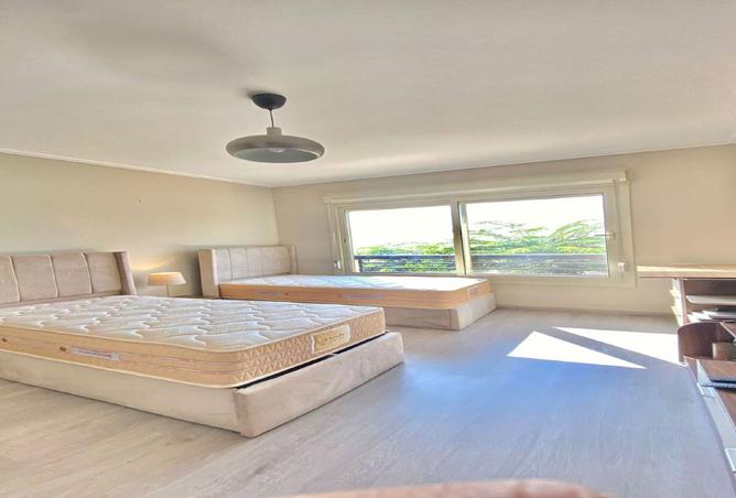 8364505 - Property Image 3