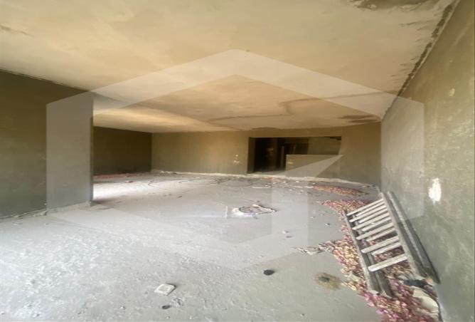 7981962 - Property Image 3