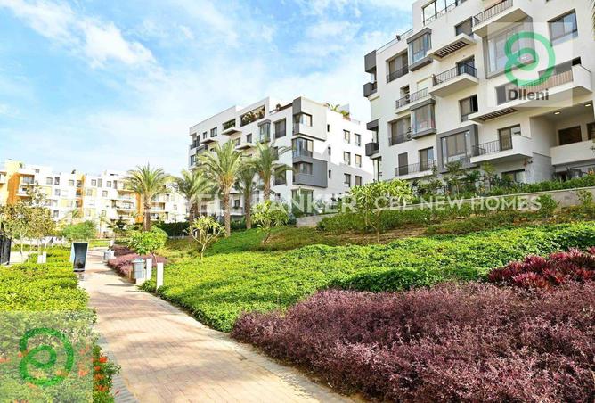 7900263 - Property Image 3