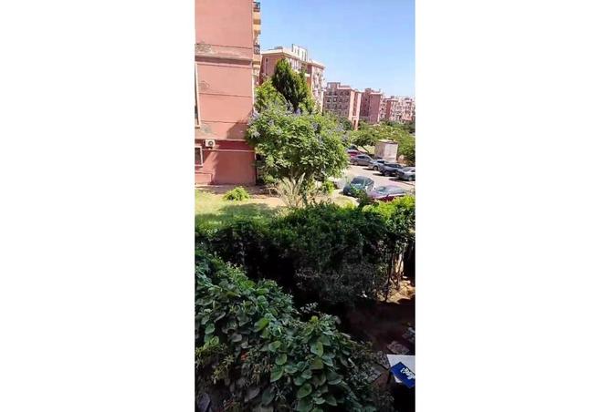 7986201 - Property Image 3